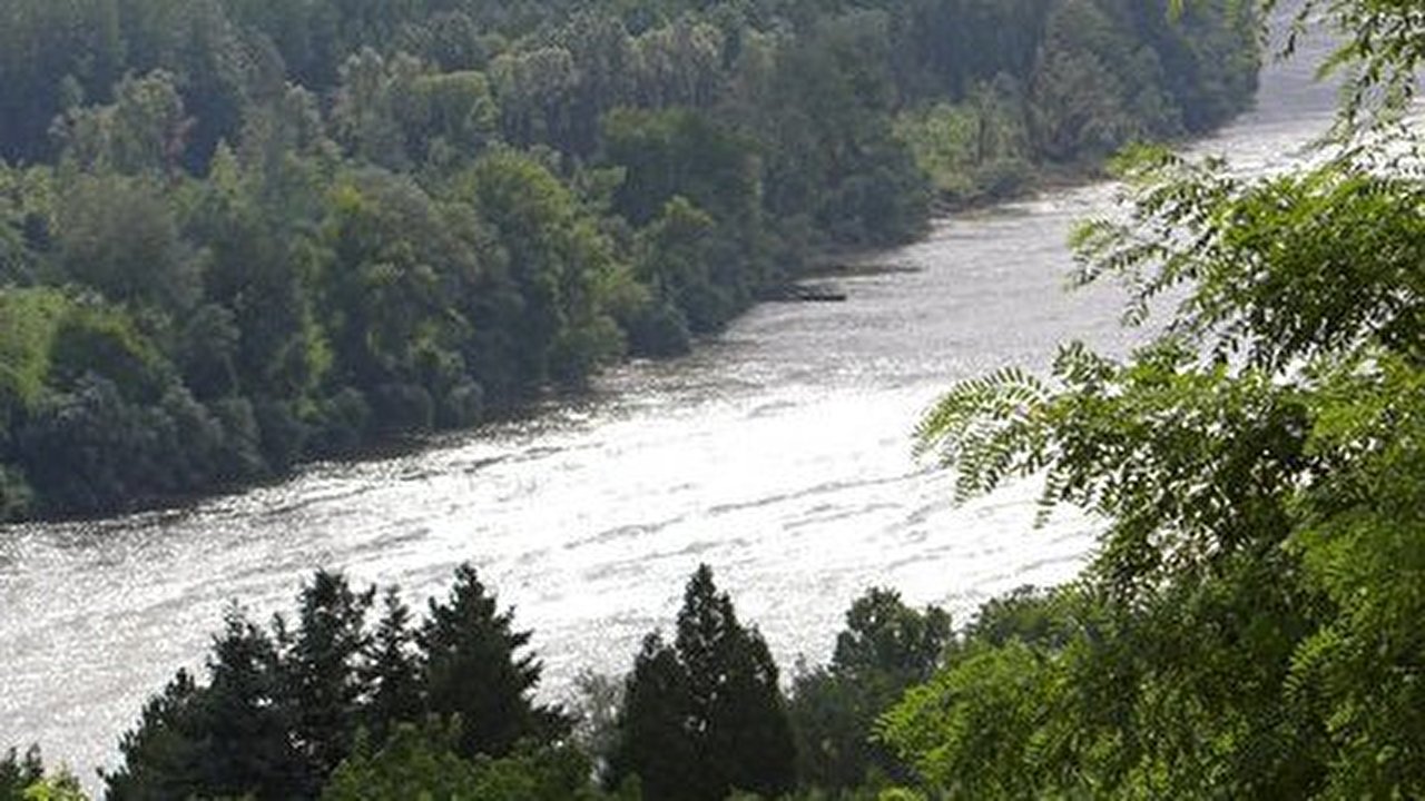 Dunav.jpg