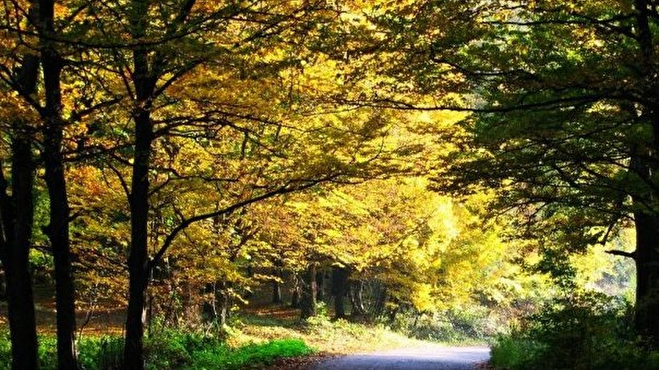 Fruška_Gora.jpg
