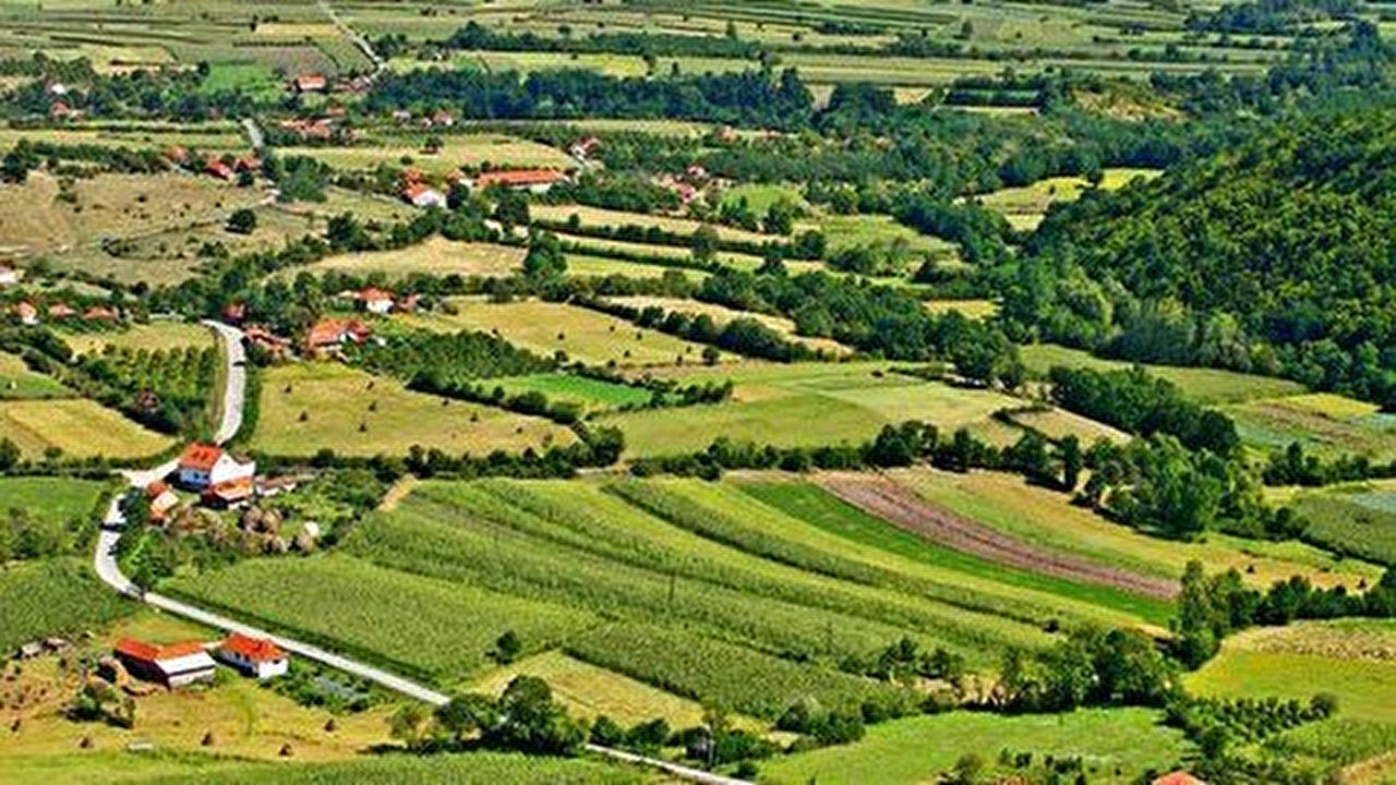Gruža.jpg