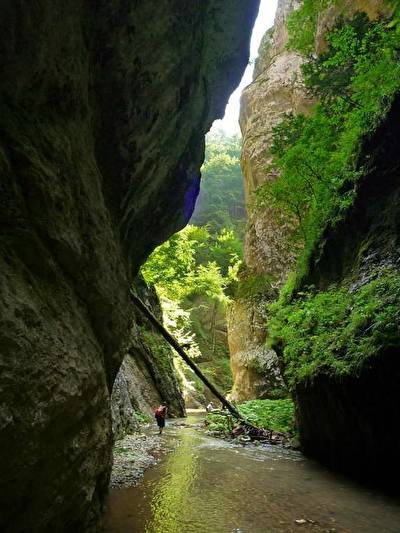 Kanjon_Belog_Rzava.jpg
