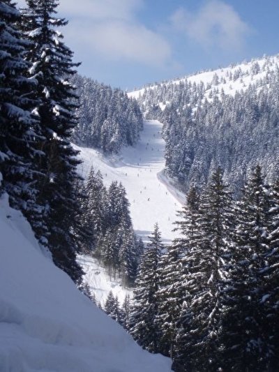 Kopaonik2.jpg