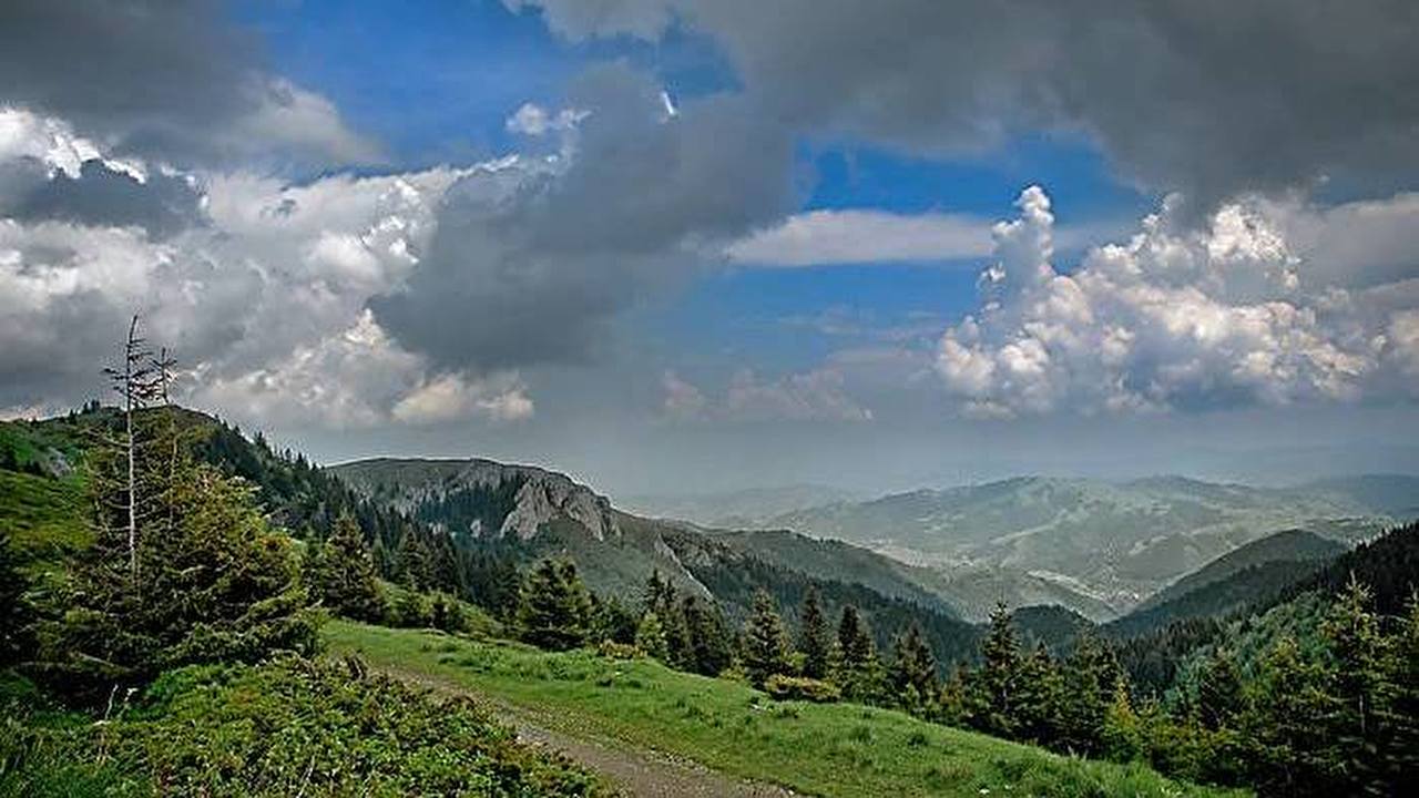 Nacionalni_park_Kopaonik.jpg