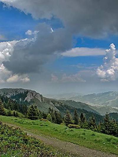 Nacionalni_park_Kopaonik.jpg