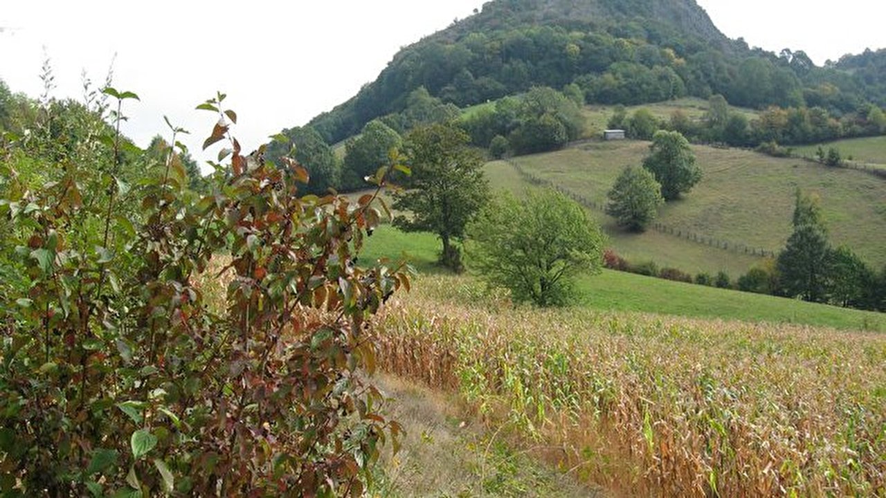 Ostrovica.jpg