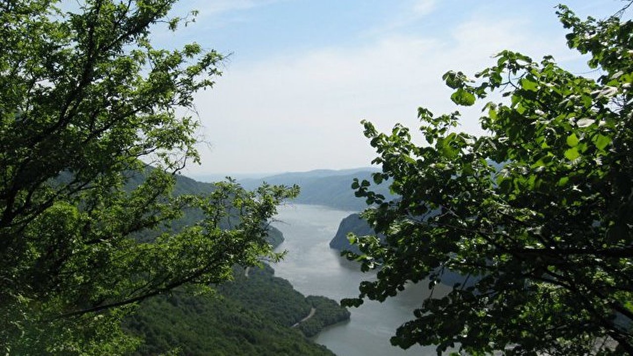 Dunav.jpg