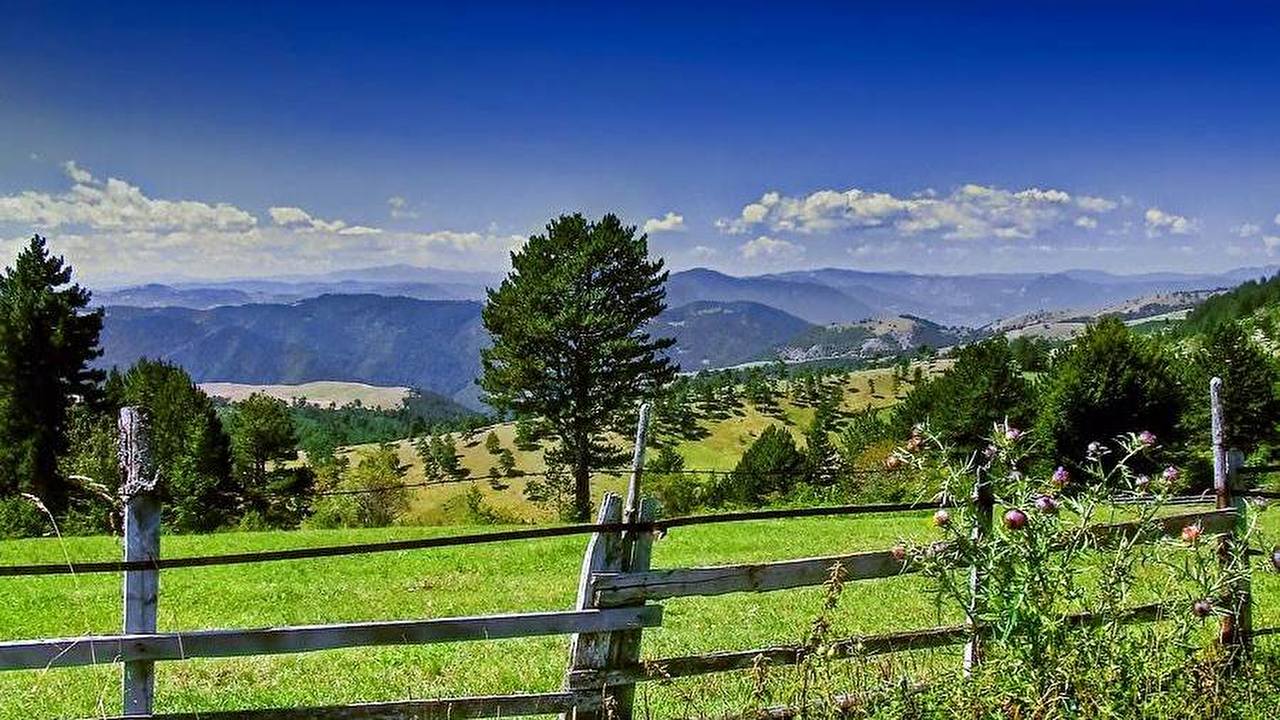 Zlatibor.jpg